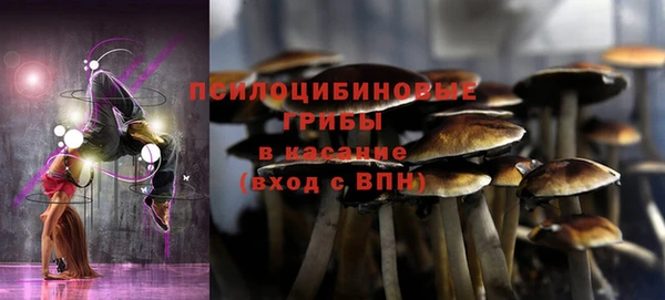 гидра Армянск