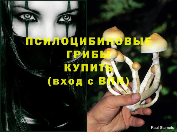 мескалин Арсеньев
