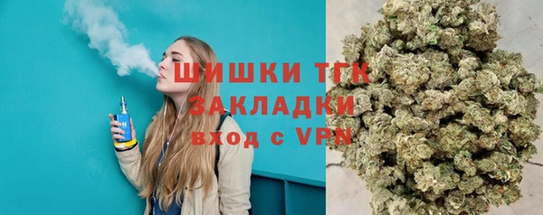 гидра Армянск